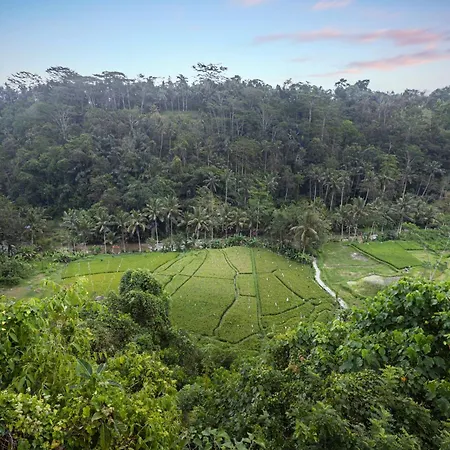 Black Penny Villas Ubud