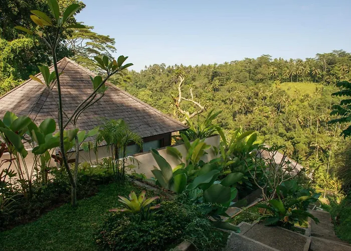 Black Penny * Ubud